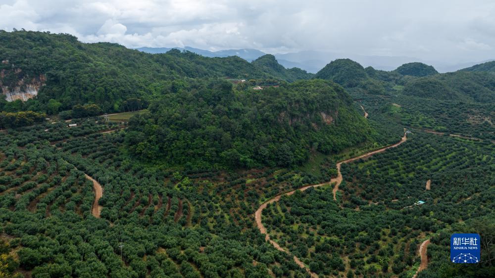 宝马线上娱乐线路检测